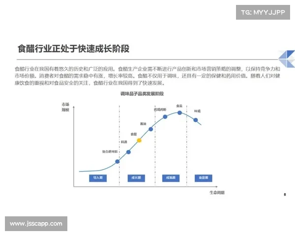 蒙扎足球俱乐部中资背景下商业合作拓展与未来发展战略分析